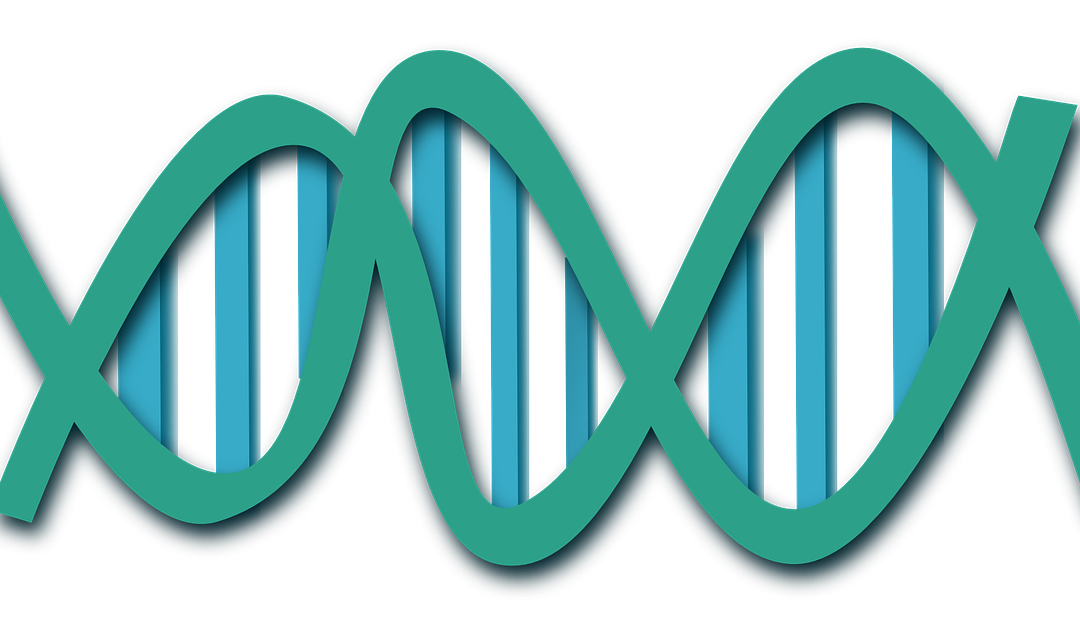 Modelado y simulación dinámica molecular: una herramienta para la industria