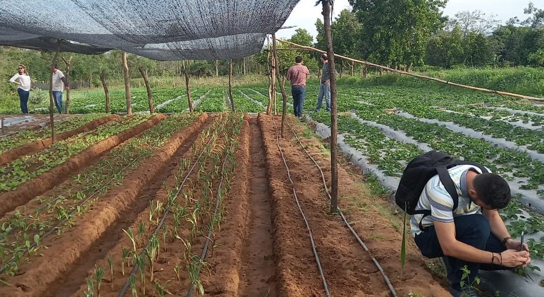 Despliegue de una solución tecnológica para ayudar a la agricultura familiar